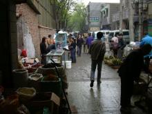 Tag 7 - Xian - Tiermarkt - Tiermarkt