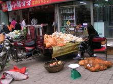 Tag 7 - Xian - Tiermarkt