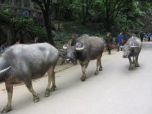 Tag 9 - Guilin - Schilfrohrfl&ouml;tenh&ouml;hle