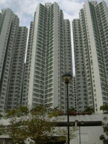 Tag 11 - Hongkong - Inselrundfahrt - S�dseite von Hongkong Island